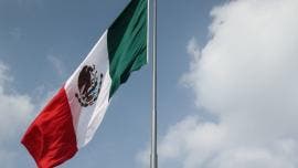 Zocalo bandera CNTE Xochitl Marea Rosa
