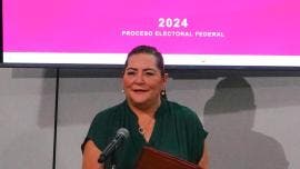 INE no fraude Guadalupe Taddei