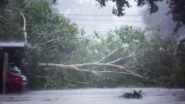Paso de Beryl por Texas