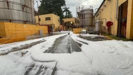 nuevo estallido Jose Cuervo humo blanco