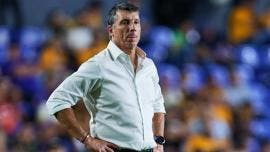 Tigres