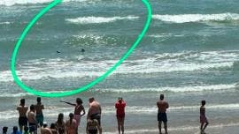 Ataque de tiburón en la Isla del Padre