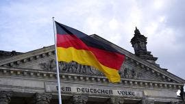 Alemania nazis AfD Die Partei