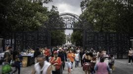 Bosque Chapultepec AMLO