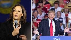 Harris con ventaja sobre Trump en Míchigan, Wisconsin y Pensilvania encuesta NYT