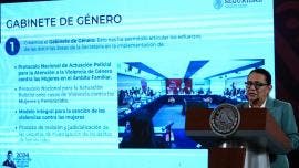homologar tipo penal feminicidio Rosa Icela Rodriguez