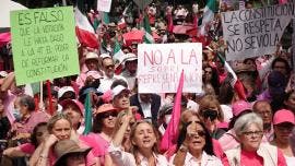 Marea Rosa FCN sobrerrepresentacion INE