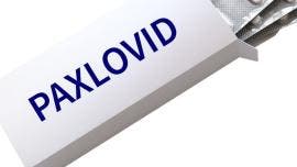 Paxlovid Cofepris aval Covid grave