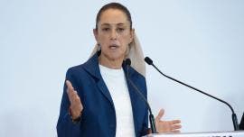 sobrerrepresentacion Sheinbaum INE Marea Rosa FCN
