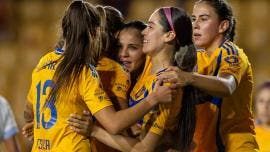 Las Tigres