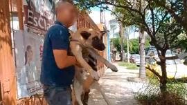 Rescatan a perrito en Tlaquepaque