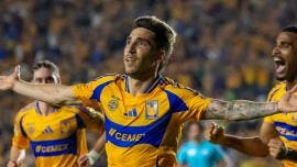 Tigres