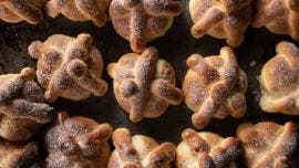 pan de muerto datos desconocias