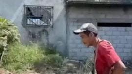 Veracruz Malibran cabeza perro cuello hombre
