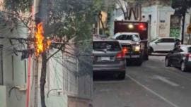 (video) Ardilla muere electrocutada y desata incendio en San Pedro de los Pinos, BJ