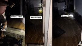 (video) Familia en Florida encuentra cocodrilo en la sala de su casa tras huracán Milton 