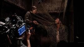 Sting: Araña Asesina