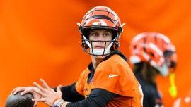 Cincinnati Bengals