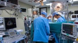 muere Puebla metapneumovirus humano