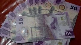 economia mexicana caeria 1 punto tres por ciento OCDE