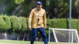 Pumas