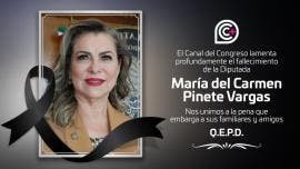 diputados homenajean minuto aplausos Maria del Carmen Pinete