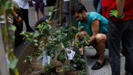Chapingo ONG UNAM reforestacion urbana CDMX calor