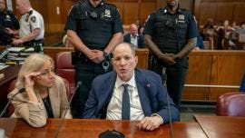 Weinstein 