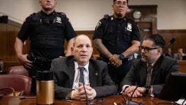 Weinstein