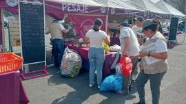 Mercado del Trueque en el Bosque de Tlalpan: qué sí y qué no puedes llevar