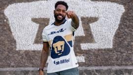 Pumas