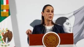 denunciara Sheinbaum Lichtman abogado Ovidio