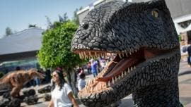 dino.jpg