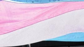 liberan mexicana trans detenida ICE Washington