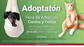 realizaran CDMX Adoptaton Alameda Sur