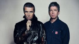 regreso-oasis-2025
