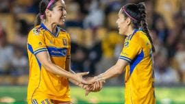 Tigres
