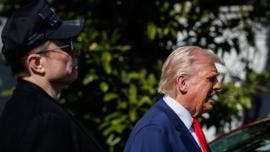 Trump analiza deportar Elon Musk