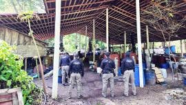 Decomisan 900 kilos de metanfetamina en Palenque, Chiapas