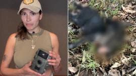 Autoridades pusieron trabas en el caso de perros asesinados en Xochimilco, denuncia fundación