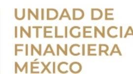bloquea UIF cuentas diputada Morena nexos Los Mayos.jpg