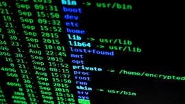 Los atacantes combinan los ataques de fuerza bruta con técnicas de ingeniería social, como el phishing, y utilizan información pública o filtrada para adivinar contraseñas.