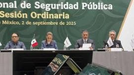 Consejo Nacional de Seguridad Pública 