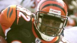 Rudi Johnson