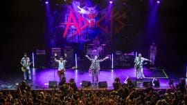 THE ADICTS CONCIERTO MEXICO