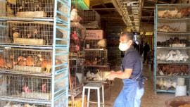 Mercado Sonora