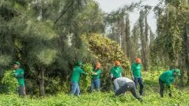 aporta voluntariado manos Xochimilco.jpg
