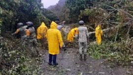 Estragos lluvias