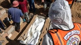 Gaza bodies 