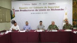 reforzaran seguridad Michoacan limoneros.jpg